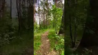 #медитация #nature #окунево #природа #travel