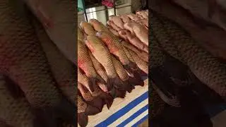 Узбекистан ! Рыбный Рынок! Самарканд!