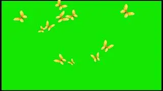 new butterfly effect green screen