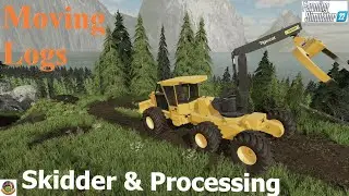 Solo Logging Adventures