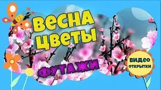 Футажи для фона. Весна цветы май. Анимированный фон. Футаж фон для видео монтажа. Скачать бесплатно.