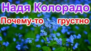 Надя Колорадо. Жаль потерянные годы. Грустно
