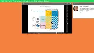 X Chromosome Factors that Contribute to Sex Differences in Disease