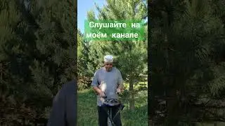 Слушайте на моём канале #виталийалтайский #целительство #глюкофон