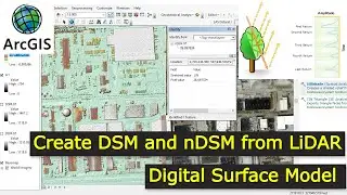 How to create DSM and nDSM in ArcGIS Software in Detail