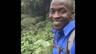 The OK Guy