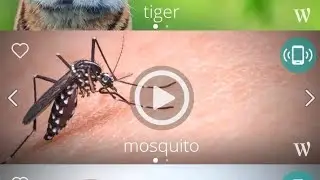 প্রায় 50 টির বেশি পশু, পাখির আওয়াজ ও বাচ্চাদের বিভিন্ন সূরালো আওয়াজের মাধ্যমে ঘুম দিতে পারবেন