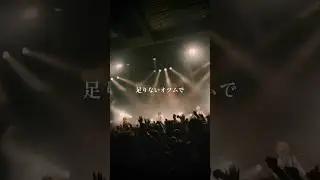 シンガーズハイ「ノールス」