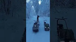 2 января 2024 г.