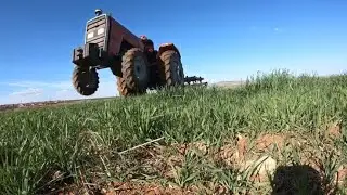 ŞAHA KALKAN MASSEY  YAPMIŞLAR ! NOHUT YERİ HAZIRLIYORUM ! massey ferguson 265s