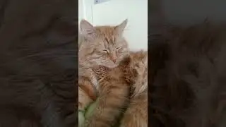 СПАЛИЛ ЛИЦО!!!!!!!!(ШОК)