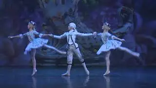 Nutcracker trailer
