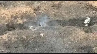 Вот почему россиян называют ватниками.