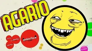 AGARIO - Finally Reached the Top LEADERBOARD! #1