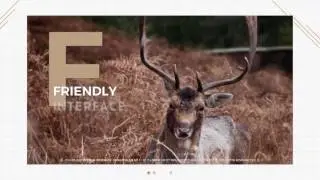 Modern Slides. After Effects Project on Videohive.net