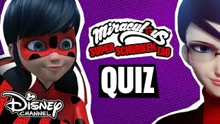 Das Superschurken-Quiz! | MIRACULOUS 🐞🐱