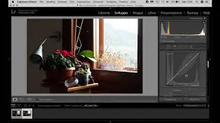 Corso Base di fotografia di Francesca Alti - Lezione 5 Consigli per il flusso di lavoro al computer