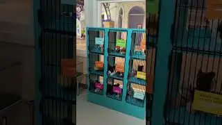 Fort Bend Children's Discovery Center