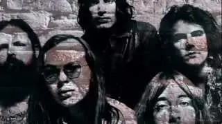 STEELY DAN - Do It Again