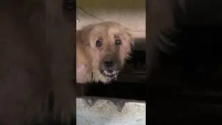 Репост!!! Repost!!!
