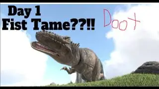 DAY 1 PUNCHING GIGA TO SLEEP??!!
