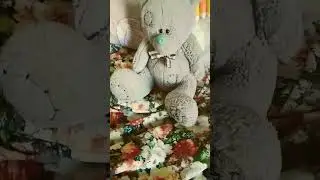 девочки красавицы