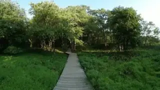 Cheesequake Boardwalk #njin360