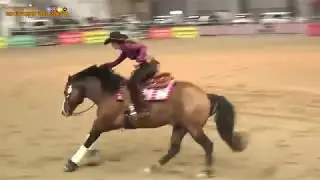 GINA SCHUMACHER-  GOTTA NIFTY GUN - CHANAY SKY MANAGEMENT SA
