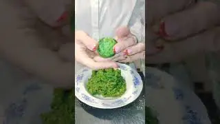 Falafel 💛💚❤️