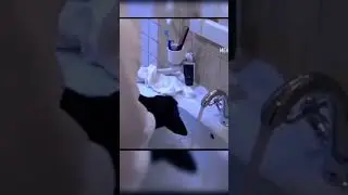 #shaman научит всех мужчин стирать носки