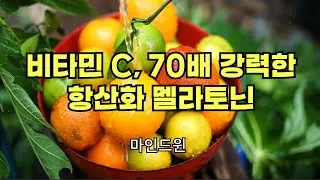 비타민 C 보다 최대 70배 항산화제 멜라토닌
