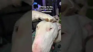 Joy was not pleased 