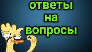 Ответы на вопросы!