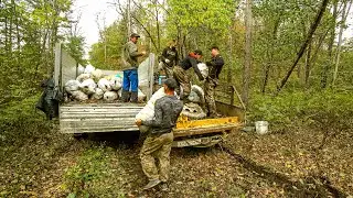 ДОБЫЛИ ПЕРВЫЙ КЕДРОВЫЙ ОРЕХ 2022ГОДА.