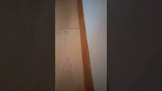 Parke Kenarında Saklanan Karınca Ordusu