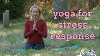 yoga for stress response