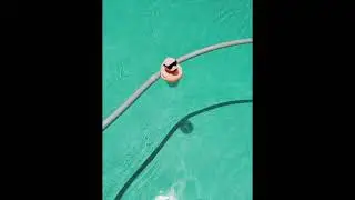 [FREE] 