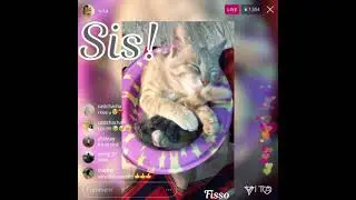 #112 I wanna eat fish 🐠 Sis!! 🤤🤤🤤😋😋 ผมอยากกินปลาครับ พี่สาว 🙏🏻🐠🐠#rpet #КОЛКМ