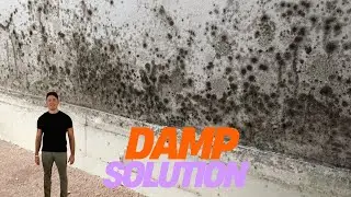 Dealing with Damp? Try This Easy Fix First!