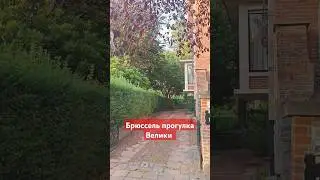 #брюссель #велик #велосипед #казашка #спорт #прогулка