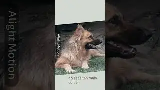 las aventuras de hércules en un mundo de las rarezas