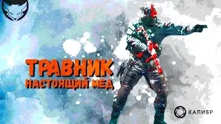 Обзор Травника Калибр 🦊 Лучшая аптечка в игре!