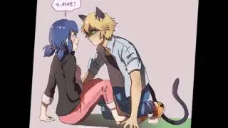 Marinette and super cat love