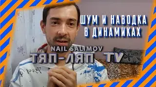 Шум гул писк треск в динамиках наводки в динамиках при нажатии педали газа.