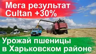 Технология Cultan +30% - уборка урожая пшеницы в Харьковском районе
