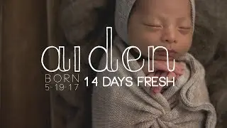 Pink Owl Studios | Aiden | Katy Texas Newborn Photographer