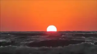 The Morning Sun (Official Lyric Video)