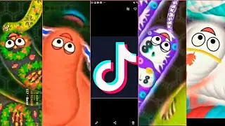 KUMPULAN TIK TOK CACING BESAR ALASKA VIRAL | MUSIK REMIX