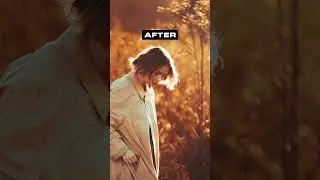 Golden Fashion Lightroom Presets–Warm Cinematic Tones for Stunning Portraits 