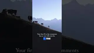 With who will you run around the Mont-Blanc?
